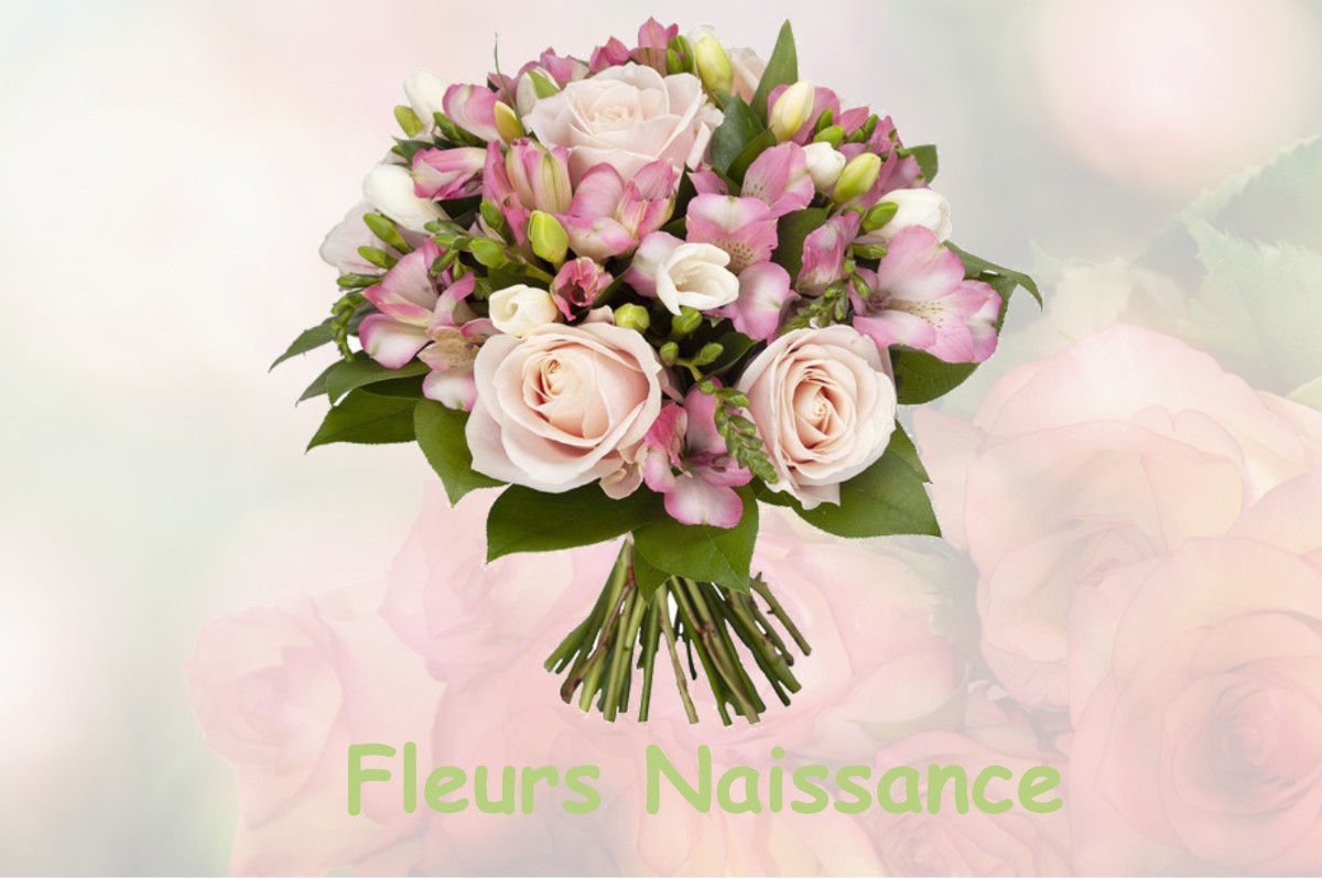 fleurs naissance FRESNES-SUR-MARNE